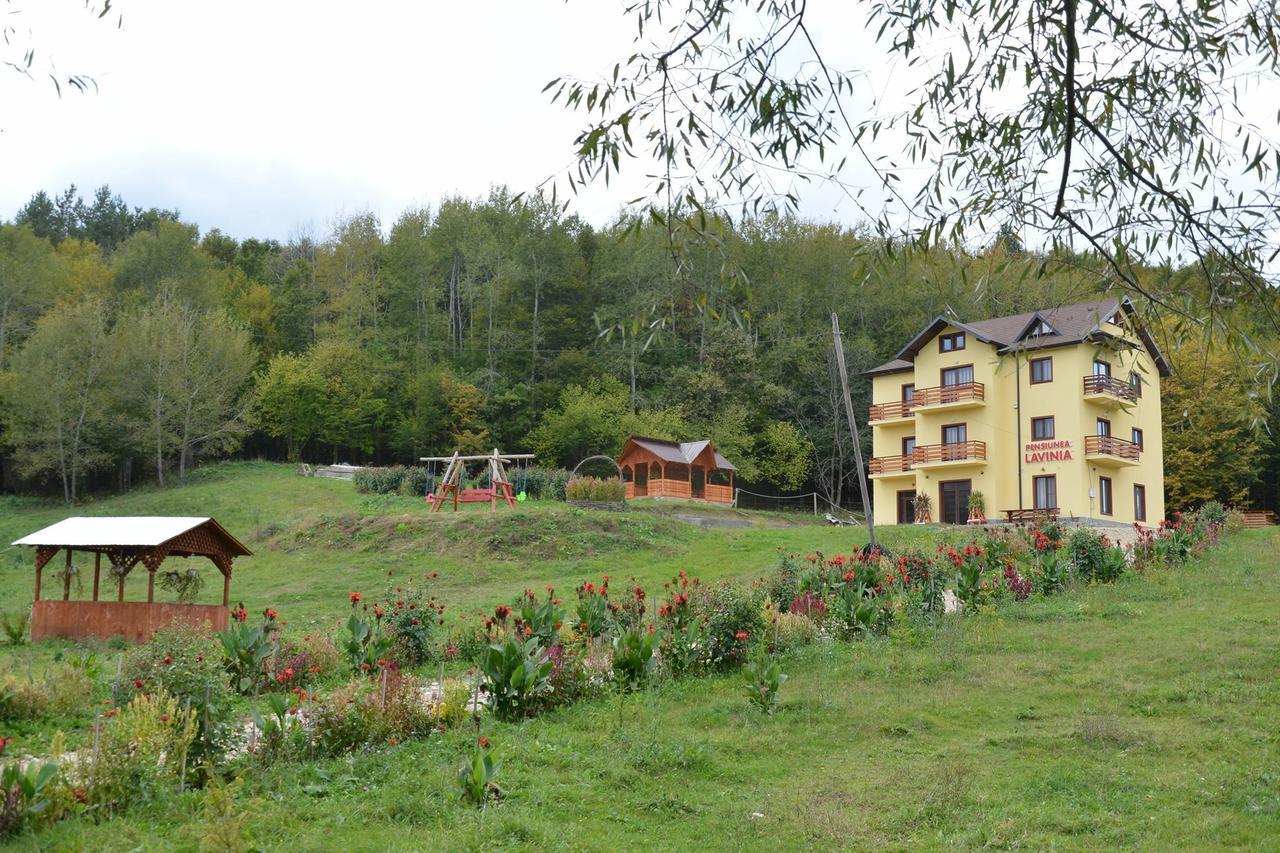 Pensiunea Lavinia Calvini Exterior photo