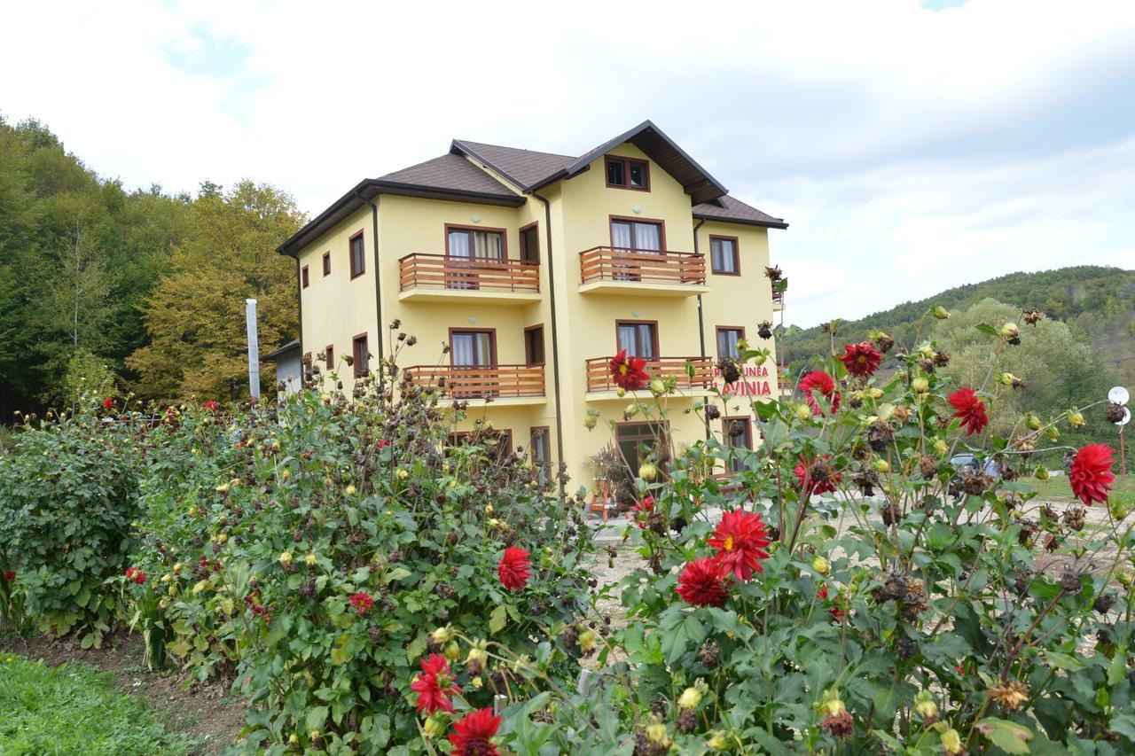 Pensiunea Lavinia Calvini Exterior photo